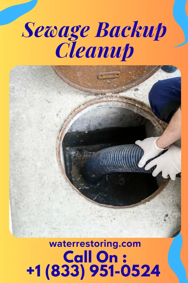 Sewage Backup Cleanup in Auburn, ME