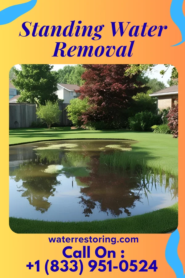 Standing Water Removal in Auburn, ME